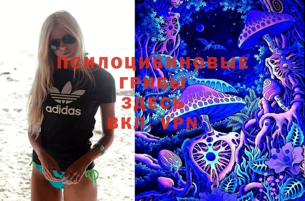 2c-b Пересвет