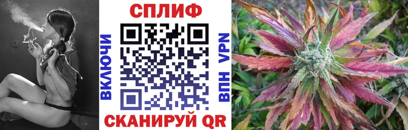 магазин    Сольвычегодск  Конопля конопля 